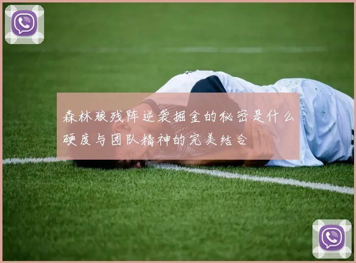 森林狼残阵逆袭掘金的秘密是什么硬度与团队精神的完美结合