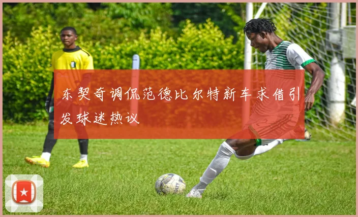 东契奇调侃范德比尔特新车求借引发球迷热议